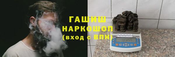 индика Балахна